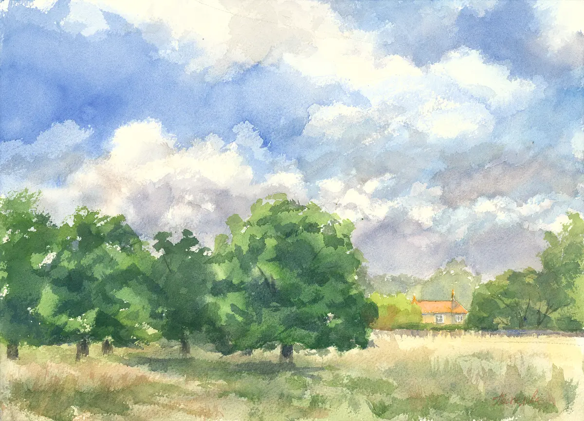 May Sky, Richmond Park, an original watercolour painting by Nadia Poe