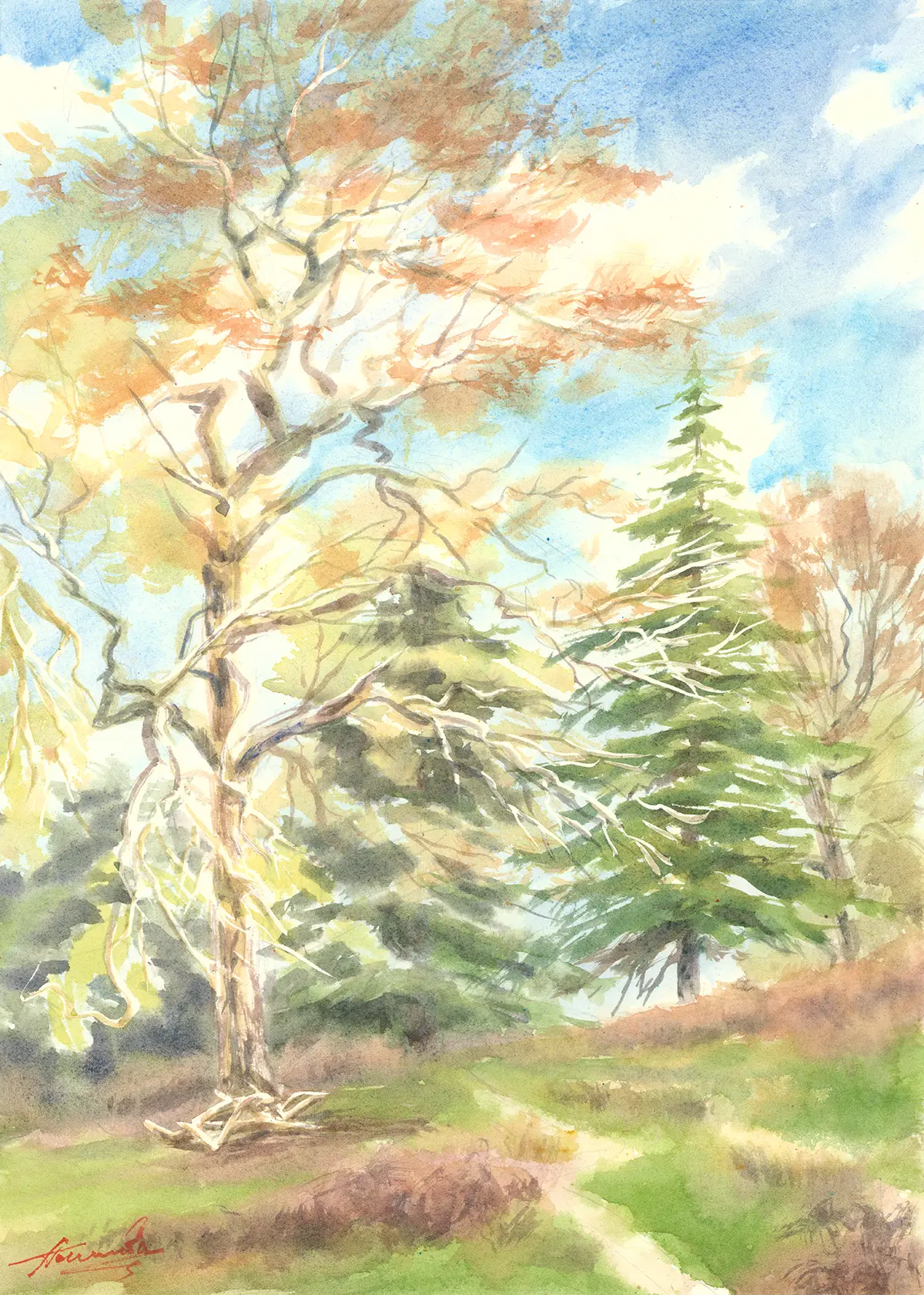 Spring Light, Richmond Park, an original watercolour painting by Nadia Poe