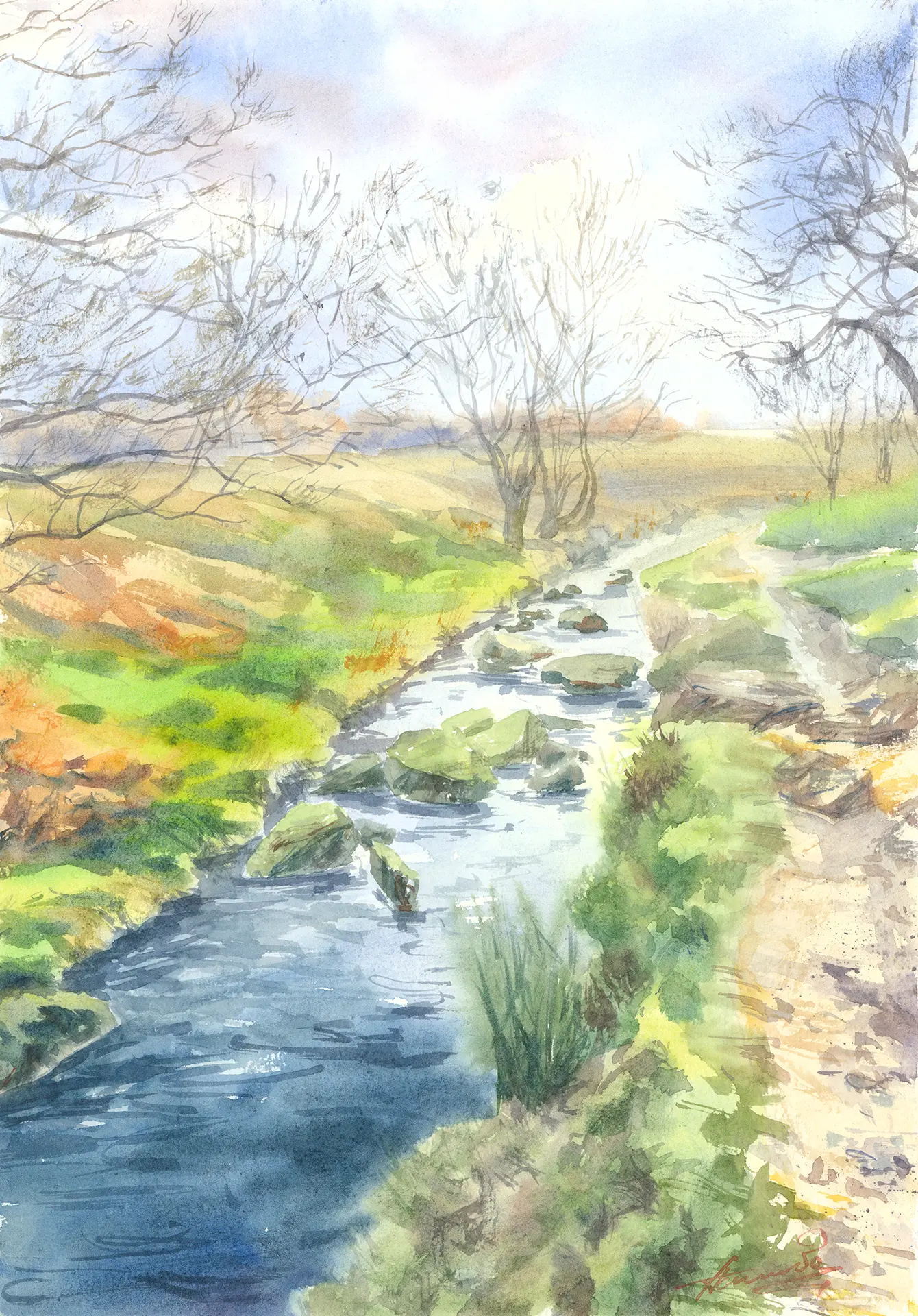 A small beck threads through Peak District moorland under bare trees and bright early-spring light, rushes leaning toward the water and a stony path running alongside.