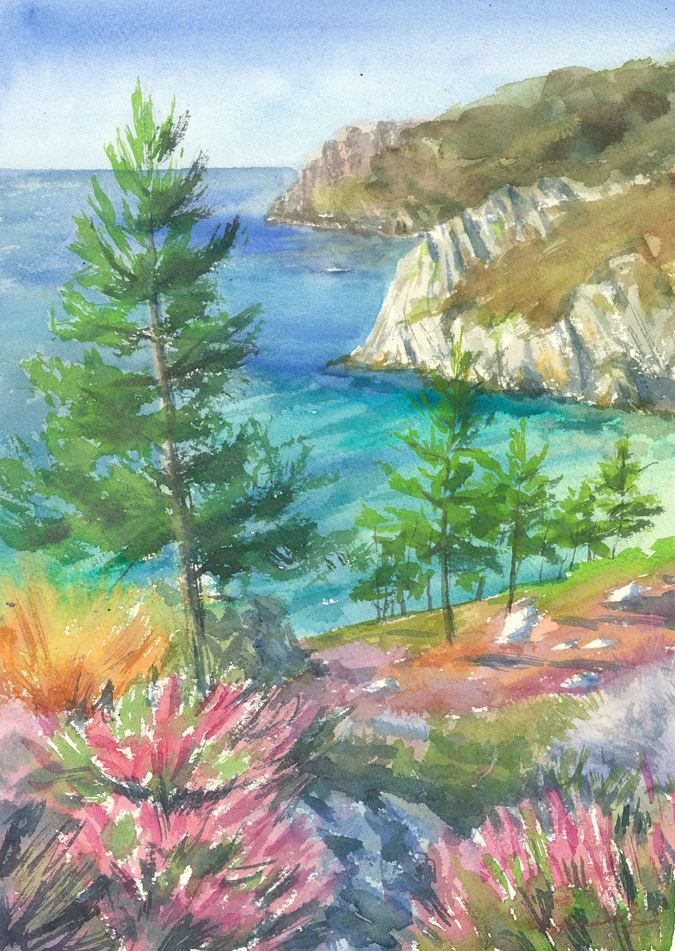 A sheltered turquoise cove below the white cliffs of Pointe du Toulinguet on Brittany's Crozon peninsula, maritime pines leaning over the water and pink heather flowering across the rocks under bright Atlantic sun.