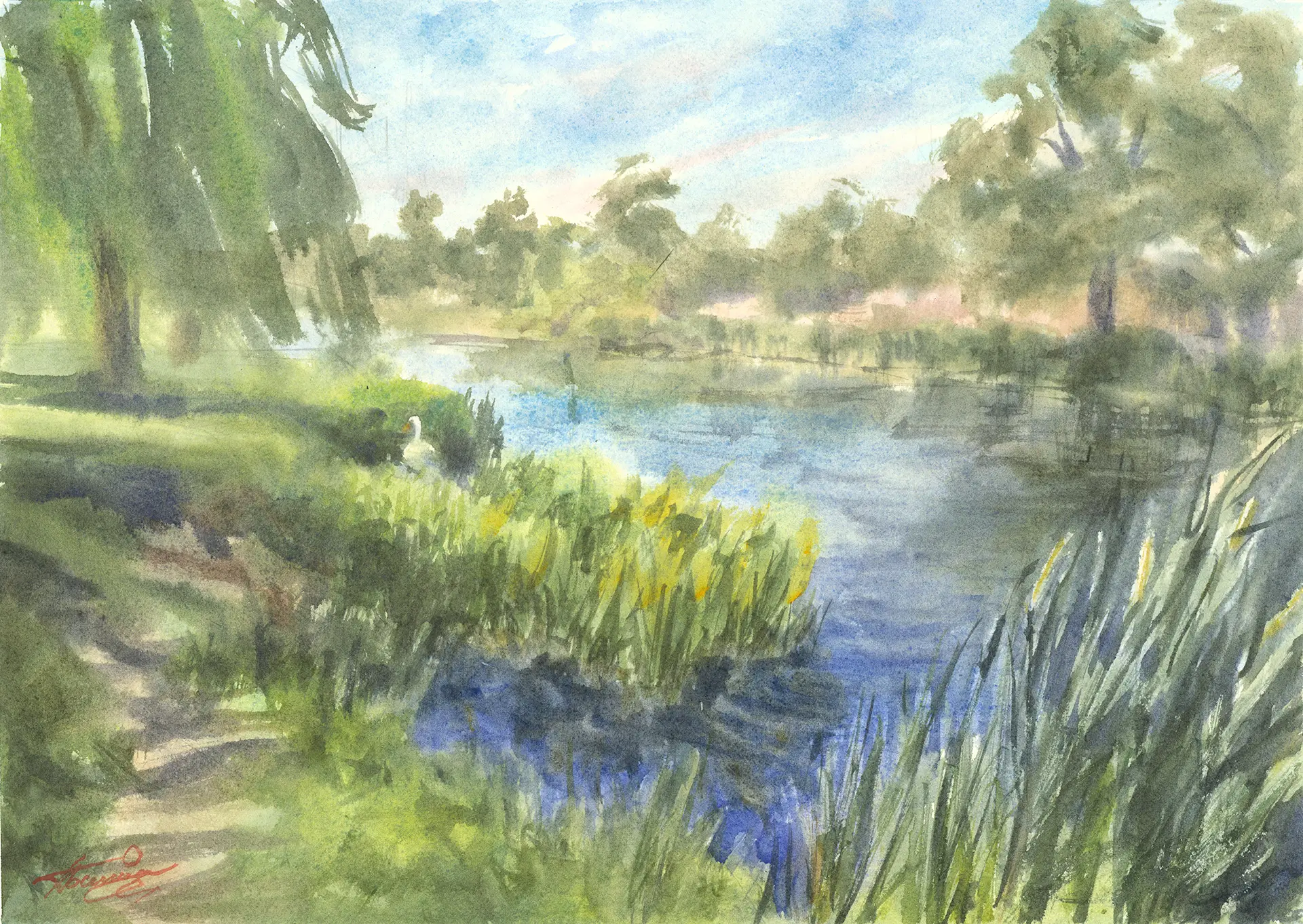 A still pond fringed with yellow flag iris on a warm spring day at Hampton Court Park.