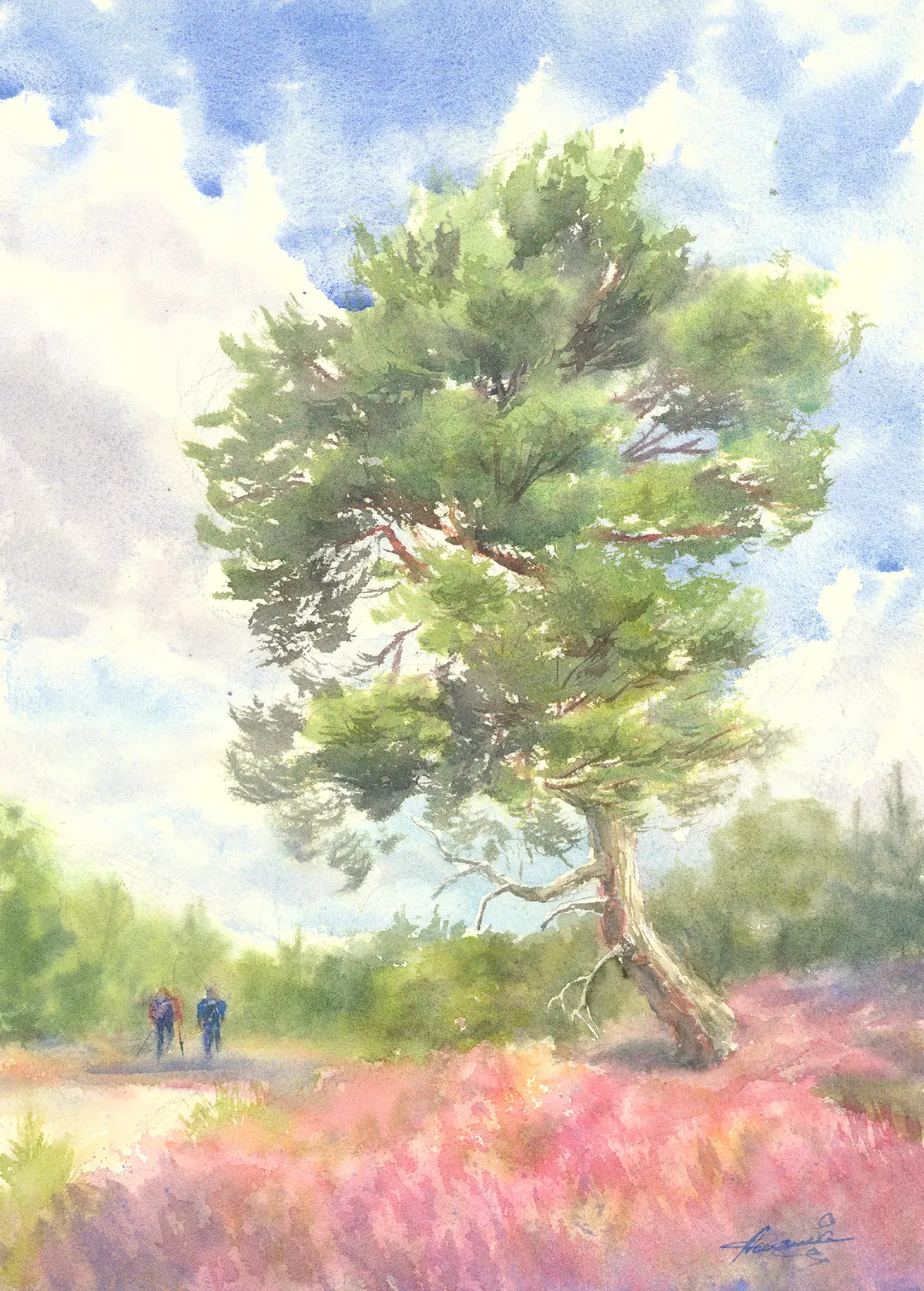 Scots Pine, an original watercolour painting by Nadia Poe